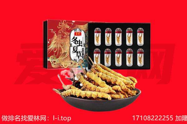 伊金霍洛旗回收虫草.jpg